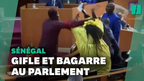 Jet de chaise et gifles : une bagarre éclate entre députés au Parlement sénégalais