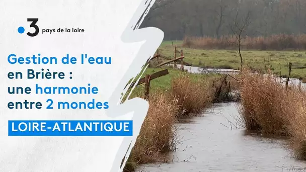 Gestion de l'eau en Brière