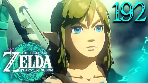 Zelda Tears of the Kingdom #192 : LINK TERMINE TOUT LE JEU D'UN SEUL COUP ?! (SPÉCIAL RECORD 🥳)