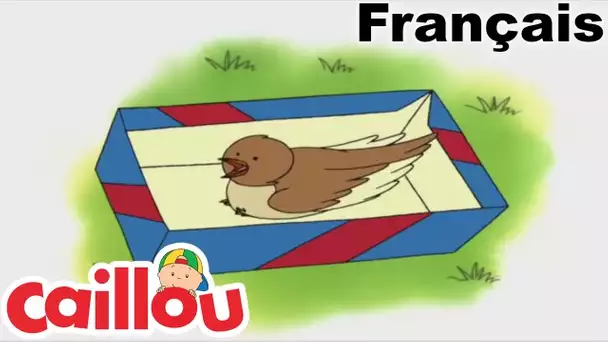Caillou en FRANÇAIS: Le Petit Oiseau | conte pour enfant | Caillou en Français