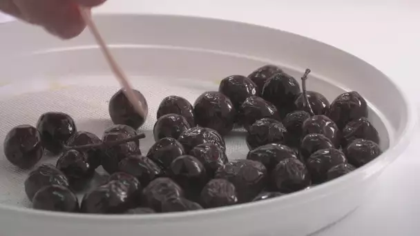 Comment reconnaître les olives mûries sur l'arbre et celles noircies artificiellement ? – ABE-RTS