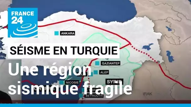 Séisme meurtrier en Turquie : une région sismique particulièrement fragile • FRANCE 24