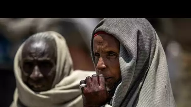 Guerre au Tigré : près de 40 % de la population souffre de "pénurie extrême de nourriture"