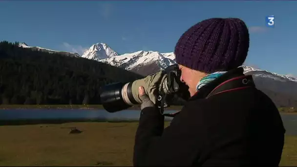 Pyrénées : en attendant la neige