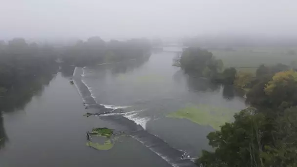 Réaménagement de frayères sur la Saône pour favoriser la reproduction naturelle des poissons