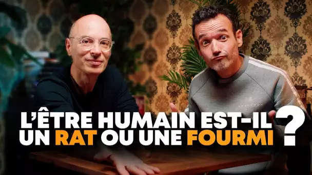 Sommes-nous des fourmis ou des rats ? - Ft. Bernard Werber