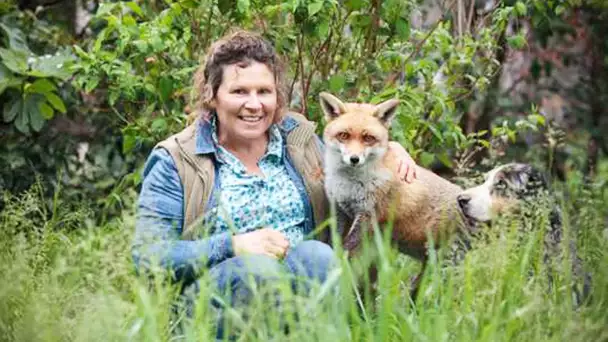 Elle recueille les animaux orphelins en Provence - ZAPPING SAUVAGE