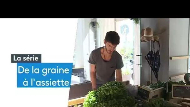 De la graine à l&#039;assiette épisode 3