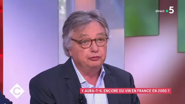 Y'aura-t-il encore du vin en France en 2050 ? - Jacques Dupont - C à Vous - 30/06/202