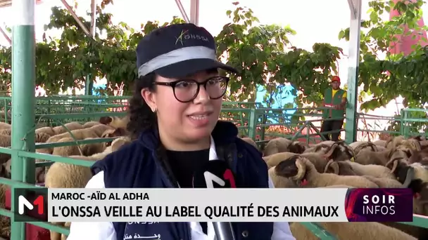 Aïd Al-Adha : l´ONSSA veille au label qualité des animaux