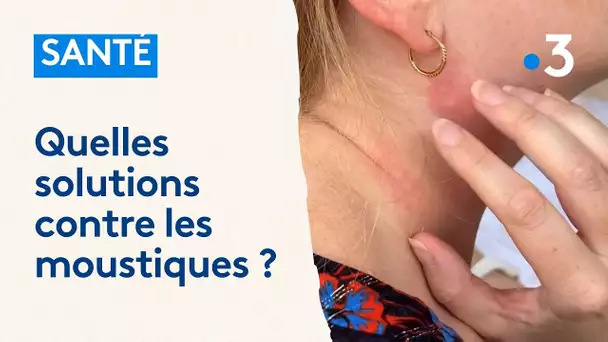 Quelles solutions face à l'invasion de moustiques ?