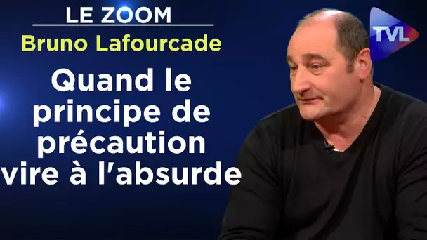 Quand le principe de précaution vire à l'absurde - Le Zoom - Bruno Lafourcade - TVL