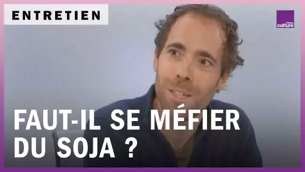 Du soja dans nos assiettes : faut-il s’inquiéter ?