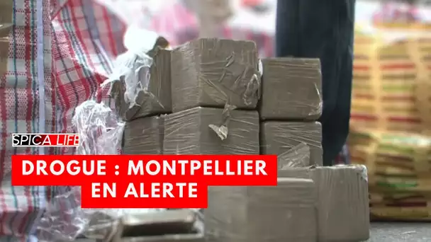 Trafic de drogue : Montpellier sous surveillance