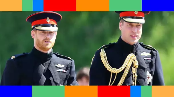 👑  Prince Harry et prince William : l'incroyable chute de trésorerie de leur business commun