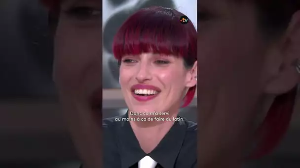 ✨  Comment le groupe Superbus est-il né ?