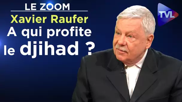 A qui profite le djihad ? - Le Zoom - Xavier Raufer - TVL