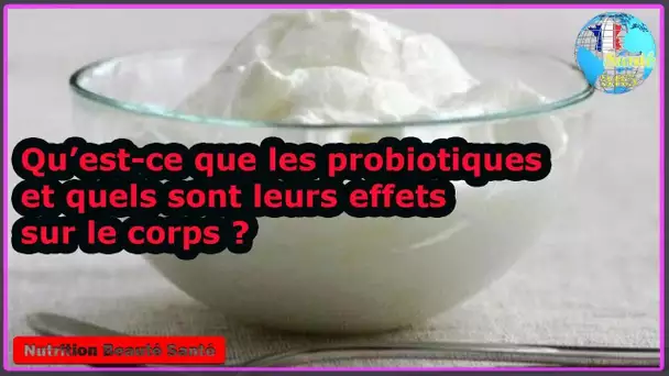 Qu’est-ce que les probiotiques et quels sont leurs effets sur le corps ?|Nutrition Beauté Santé