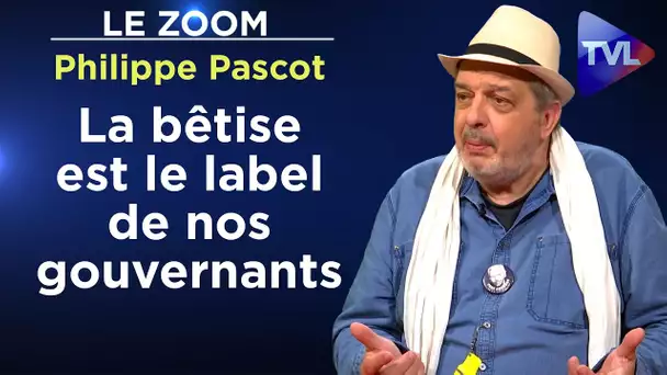 Pouvoir, sexe, argent : éloge de la bêtise - Le Zoom - Philippe Pascot - TVL