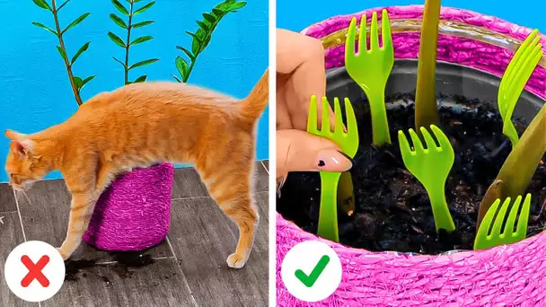 Astuces utiles et bricolages DIY pour les amoureux des chats