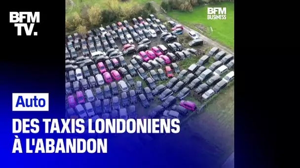 À cause de la pandémie, des centaines de taxis londoniens à l'arrêt immobilisés dans des champs