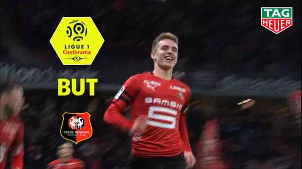 But Benjamin BOURIGEAUD (69') / Stade Rennais FC - Dijon FCO (2-0)  (SRFC-DFCO)/ 2018-19