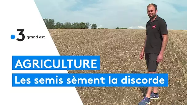 La date des semis imposée par la réglementation sème la discorde chez les agriculteurs
