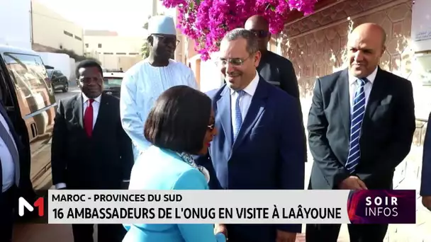 16 ambassadeurs de l'ONUG en visite à Laâyoune