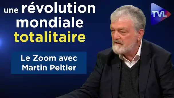 "Nous vivons une révolution mondiale totalitaire" - Le Zoom - Martin Peltier - TVL