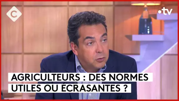 Agriculteurs en colère : conséquence d’une overdose de normes ? - L’Édito - C à vous - 23/01/2024