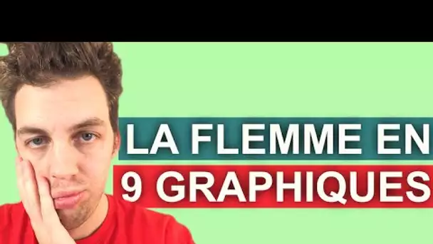 LA FLEMME EN 9 GRAPHIQUES - PIERRE CROCE