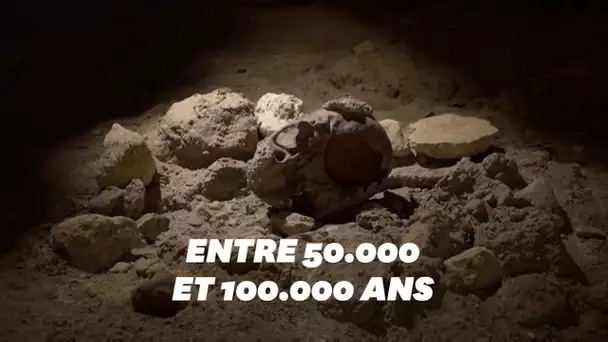 Neuf squelettes de Néandertaliens découverts dans une grotte en Italie