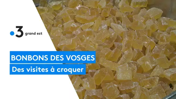 Confiserie des Hautes-Vosges : des visites qui réveillent les papilles