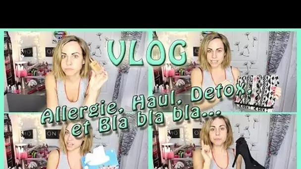 VLOG : Haul, Allergie, Sourcils, nouveauté L&#039;oréal et Blablabla