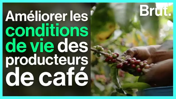 Comment le programme AAA améliore les conditions de vie des producteurs de café