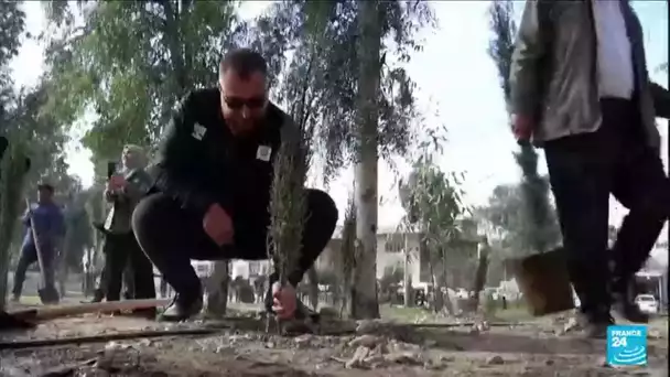 Irak : à Mossoul après la guerre, on plante des acacias et des cyprès • FRANCE 24