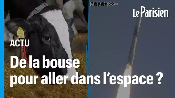 Au Japon, un moteur de fusée alimenté par des bouses de vaches