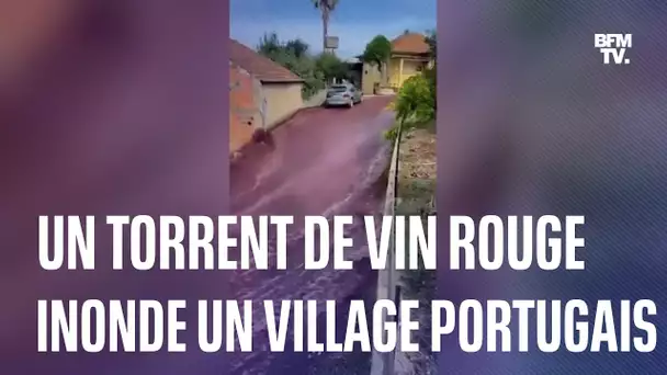 Portugal: les images impressionnantes d’un torrent de vin rouge inondant un village