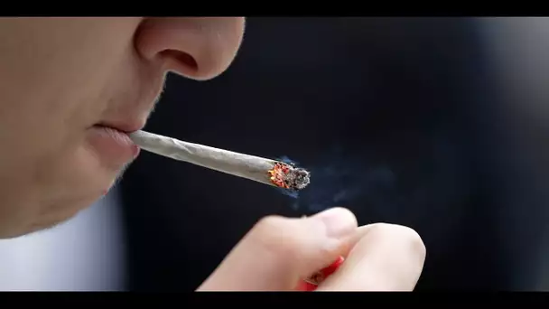 La cigarette bientôt interdite dans un parc parisien sur dix : "je trouve ça extrême"