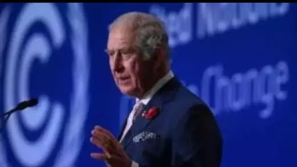 Le prince Charles présente un plan en cinq points pour sauver la planète "précieuse" d'une situation