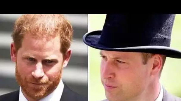 William doit "régler la dispute" avec Harry s'il veut faire ses preuves en tant que futur roi