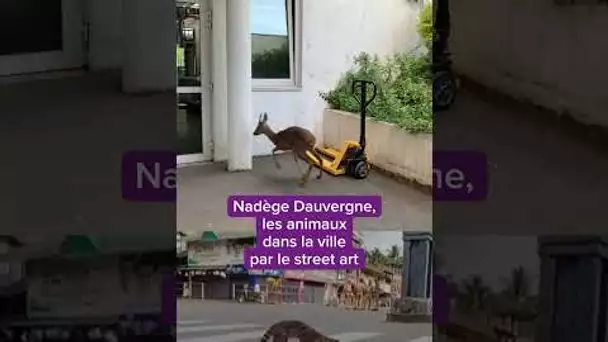Street art : des animaux dans la ville