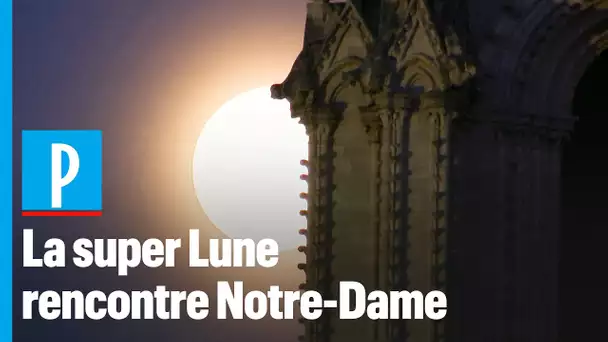 Paris : la plus belle « super Lune » de l'année rayonne sur Notre-Dame