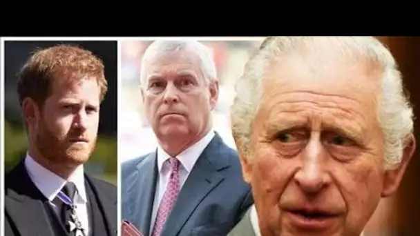 Le prince Andrew et Harry ne remplaceront pas King même s'il est trop malade pour exercer ses foncti
