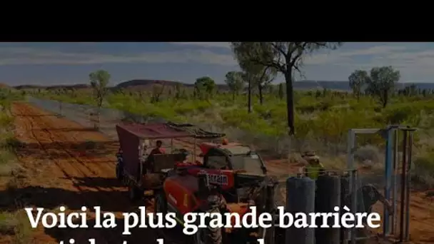 La plus grande barrière antichats du monde se trouve en Australie