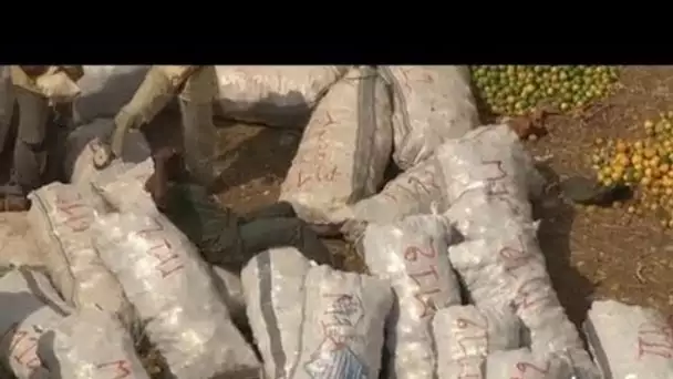 Burkina Faso : marché de Bobo Dioulasso