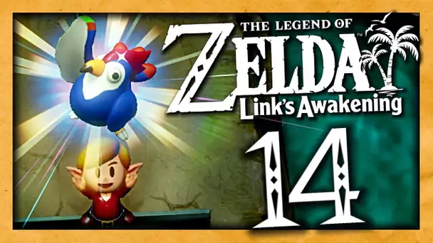 ZELDA LINK'S AWAKENING EPISODE 14 | LE POULET MAGIQUE  ! NINTENDO SWITCH