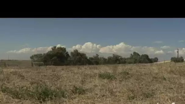 Australie : élevage de moutons