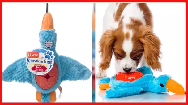 Hartz Squeak & Treat Duck Treat Dispensing Dog Toy