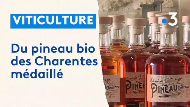 Viticulture : du pineau bio des Charentes médaillé au concours général agricole